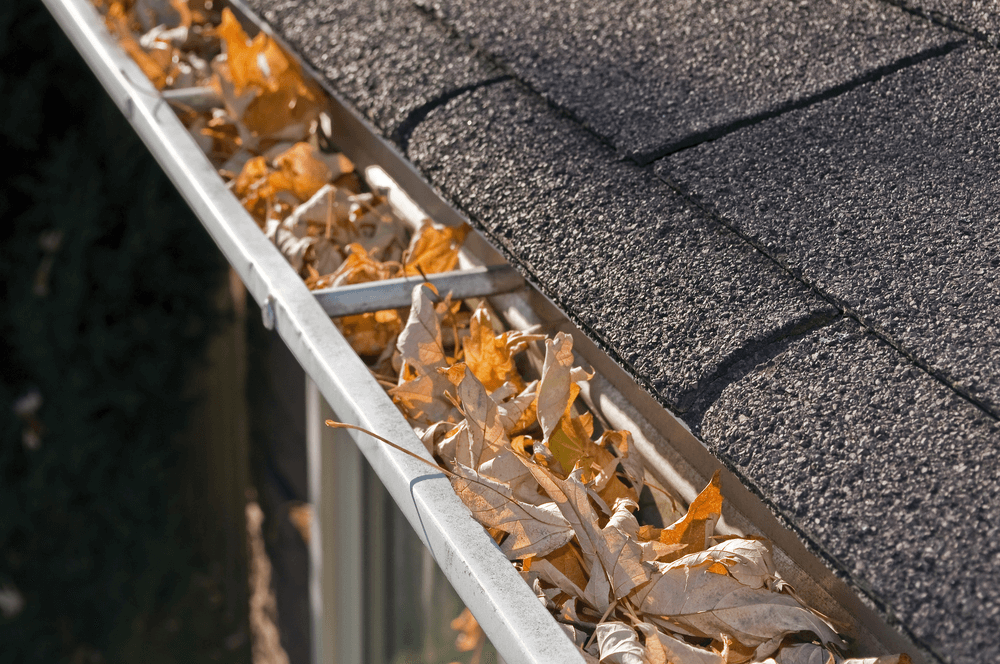 5 Roof Maintenance Tips For Long Lasting Results