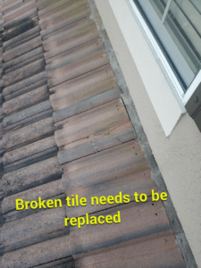 Oviedo Roof Repair