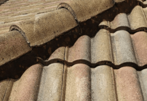 Lake Nona Roof Types tile roof
