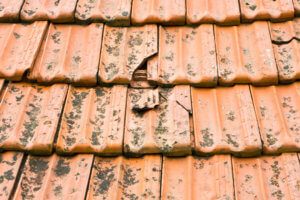 Hail Roof Damage Tiles