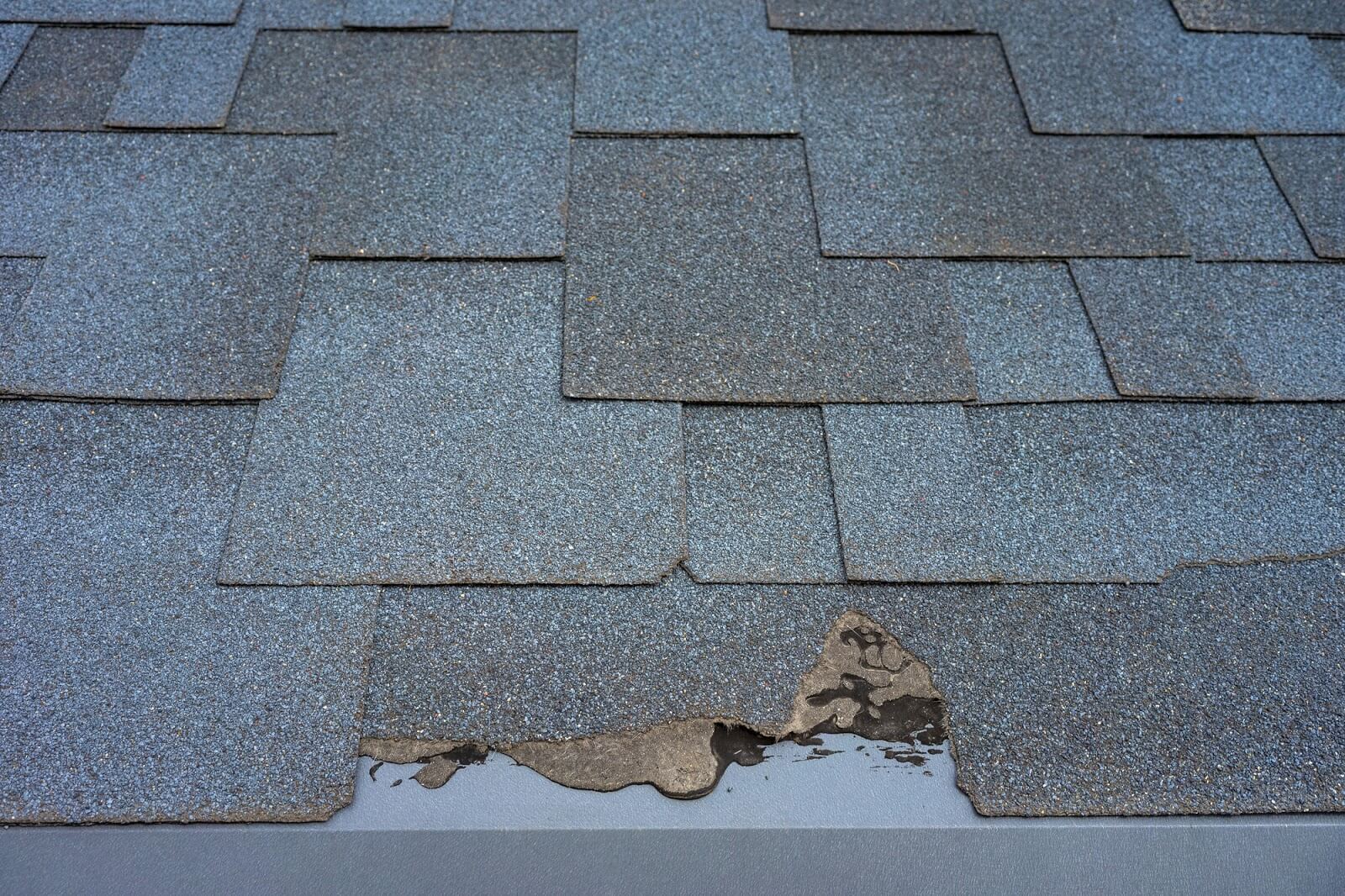 Do Your Bithlo Damaged Roof Shingles Need Replacing? We Can Help